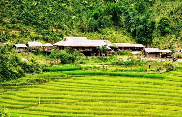 Houses in Ban Pho